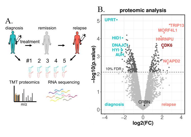 Advancements in Protein Methylation Research